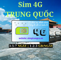 11 SIM du lịch, Wifi quốc tế, Máy phiên dịch.