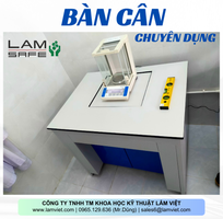 1 Bàn Cân Lamsafe Chống Rung