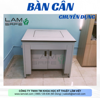 2 Bàn Cân Lamsafe Chống Rung