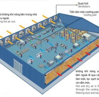 1 Hệ thống làm mát nhà xưởng nako