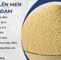 Nành Lên Men 60 Đạm cvbnm