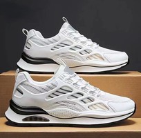 Giày Sneaker Nam Giá Rẻ SKNA04