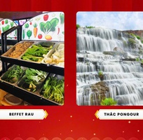 3 Tour tết Đà Lạt 3n3đ Giá chỉ 2.290.000