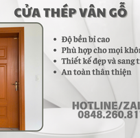 Cửa Thép Vân Gỗ