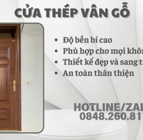 1 Cửa Thép Vân Gỗ