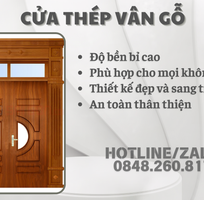 2 Cửa Thép Vân Gỗ