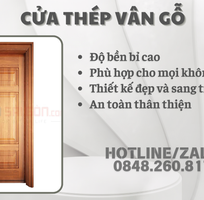 3 Cửa Thép Vân Gỗ