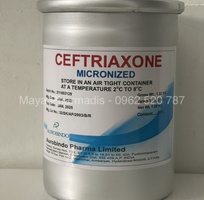 Ceftriaxone 98   Giải pháp cho tình trạng lờn Cefo liều cao