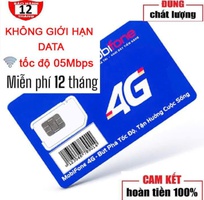 Sim 4G ty tỷ gb vào mạng