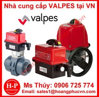 Thiết bị đống mở van bằng điện Valpes Electric phân phối tại việt nam