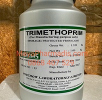 1 Trimethoprim 98