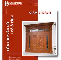 1 Cửa Thép Vân Gỗ