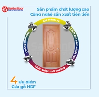 Cửa gỗ HDF veneer