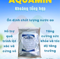 AQUAMIN - Khoáng tổng hợp dùng trong nuôi trồng thuỷ sản