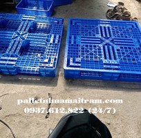 2 Pallet nhựa cũ tại Tây Ninh phân phối rộng khắp tỉnh