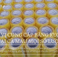 Đơn Vị Cung Cấp Băng Keo Giá Sỉ Tại Cà Mau Mọi Số Lượng