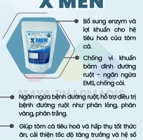 Men sống X Men