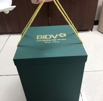 13 Thiết kế, in, gia công túi giấy, hộp giấy, cattalogue, bìa còng, folder, hoá đơn, bao thư, lịch