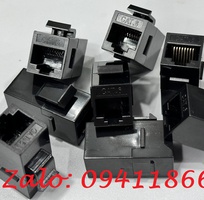 15 Day nhảy patch cord CAT6 UTP 10M lõi đồng 100 pass Fluke, đầu đúc ACT-LAN-610BLD