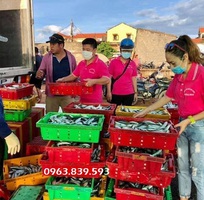 6 Cung cấp rổ nhựa, thùng nhựa đan, hộp nhựa