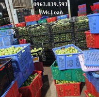 9 Rổ nhựa công nghiệp, rổ nhựa có bánh xe, rổ đựng thành phẩm giá cực rẻ