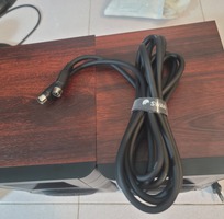Loa Swan D100 xinh, ngoan, còn thơm mùi hộp like new 99