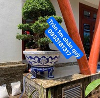 14 Chậu cẩn miểng , chau can mieng