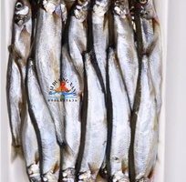 Cá trứng