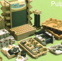 Khay giấy đúc định hình. Khay giấy đúc định hình.