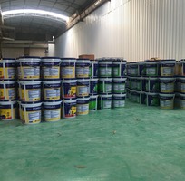 5 Sơn FORDA thân thiện với môi trường