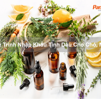 Quy trình nhập khẩu tinh dầu cho Chó, Mèo