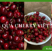 Trái Cherry Việt Nam - Hương Vị Tươi Mới, Giá cả Hợp Lý
