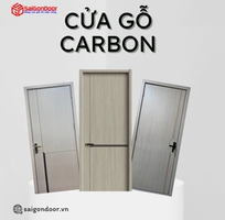 1 Cửa gỗ Carbon
