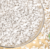 1 Cung cấp đá trân trâu perlite trồng cây