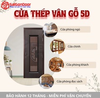 2 Cửa thép vân gỗ