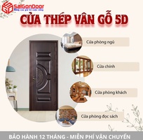 3 Cửa thép vân gỗ