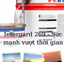 Intergard 269   Lớp  Sơn Mỏng, Sức Mạnh Lâu Dài