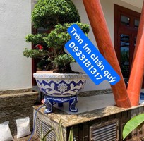 2 Chậu xi măng, cốt sắt bên ngoài ốp miếng sành sứ tinh tế
