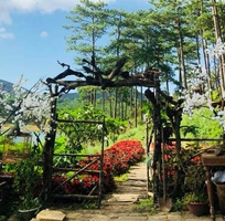2 Khám Phá Đà Lạt