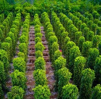 2 Khám Phá Phú Quốc