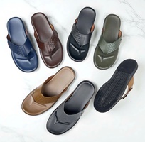 2 Công ty sản xuất Giày QĐ tìm sỉ