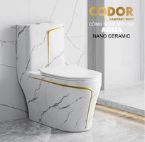 Bồn Cầu 1 Khối Vân Đá Viền Vàng CODOR BC9220