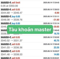 Lợi nhuận tài khoản Cent sau hơn 1 tháng Copy
