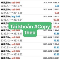 1 Lợi nhuận tài khoản Cent sau hơn 1 tháng Copy