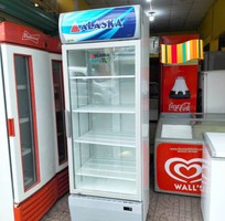1 Tủ mát hiệu alaska 1 cửa lc 933c dung tích 550 lít HÀNG MỚI 90