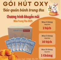 2 Gói hút oxy   Bí quyết bảo quản bánh trung thu không chất bảo quản
