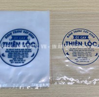 1 Xưởng sản xuất, in túi PE giá rẻ tại Hồ Chí Minh
