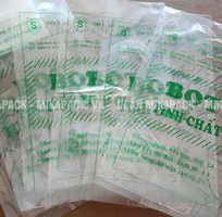 Xưởng sản xuất, in túi PE giá rẻ tại Hồ Chí Minh