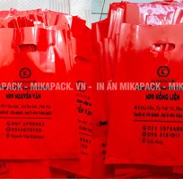 2 Xưởng sản xuất, in túi PE giá rẻ tại Hồ Chí Minh