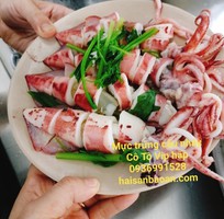 Nơi bán mực trứng câu vip ngon tuyển chọn